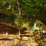 【画像】紅葉の名所で里山登山！　秋の花貫渓谷＆パノラマ眺望の土岳で紅葉インスタ映え山行を堪能 〜 画像1