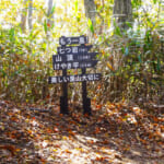 【画像】紅葉の名所で里山登山！　秋の花貫渓谷＆パノラマ眺望の土岳で紅葉インスタ映え山行を堪能 〜 画像1