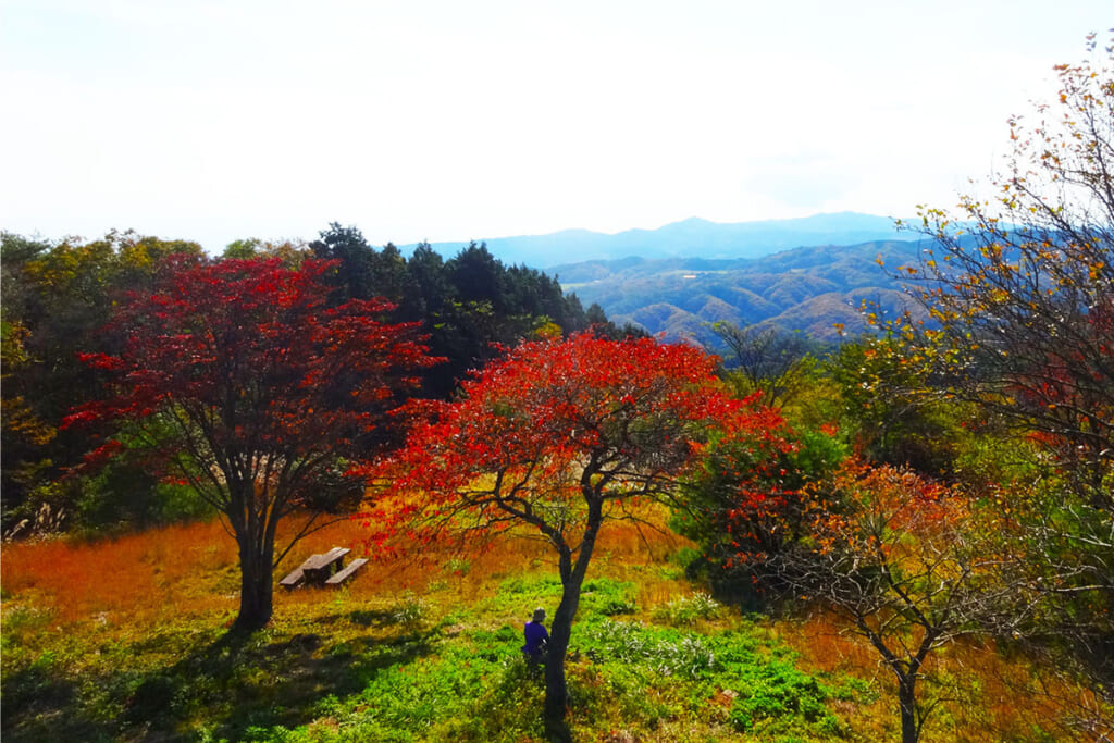 山頂からの眺望