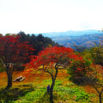 【画像】紅葉の名所で里山登山！　秋の花貫渓谷＆パノラマ眺望の土岳で紅葉インスタ映え山行を堪能 〜 画像1