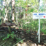 【画像】長瀞と皆野の2大「里山アルプス」が聳える！　意外な急登とクモの巣と格闘する前原尾根を行く 〜 画像1