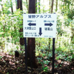 【画像】長瀞と皆野の2大「里山アルプス」が聳える！　意外な急登とクモの巣と格闘する前原尾根を行く 〜 画像1