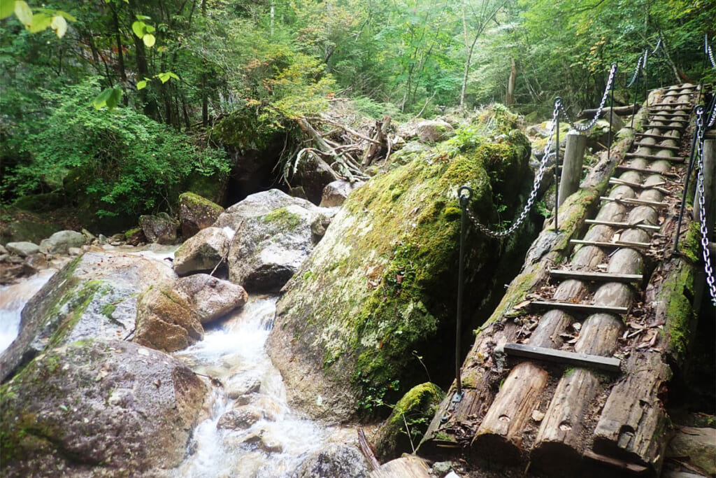 沢の木橋を渡渉