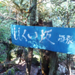 【画像】登山のスキルは必須！　百名山「瑞牆山」のマイナールートで奇岩と巨石、渡渉ありのスリリングな山行が歩き甲斐たっぷり 〜 画像1