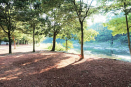 埼玉県秩父郡の長瀞オートキャンプ場