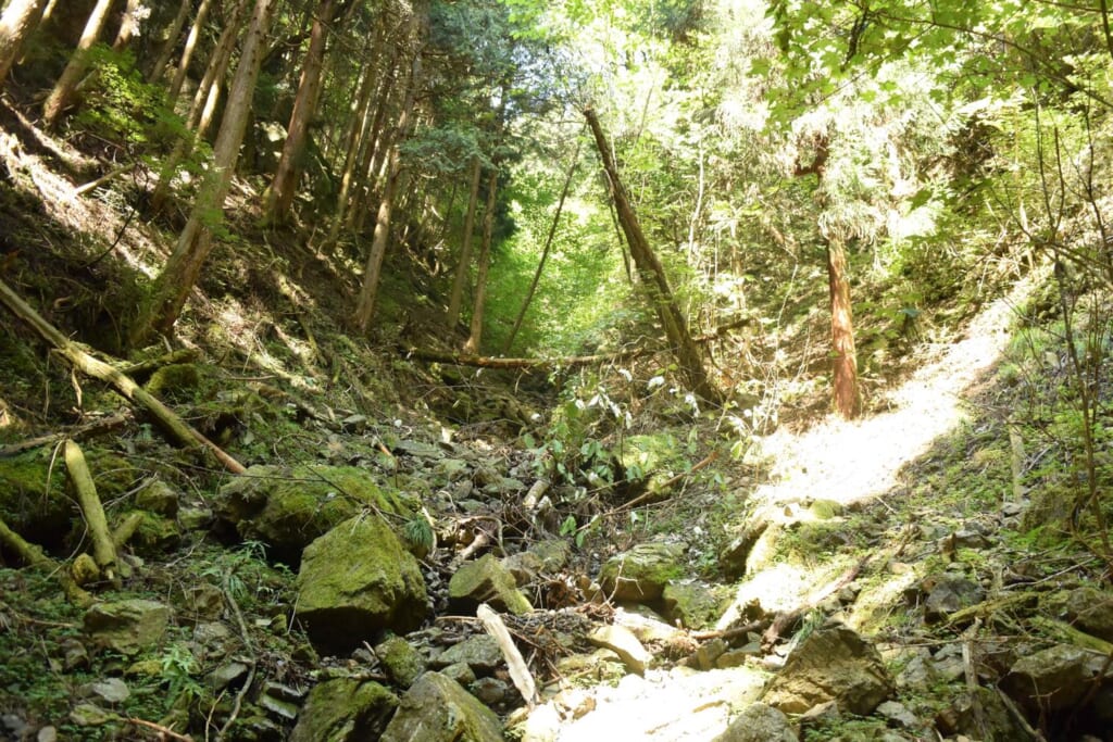 ロックガーデンへの道のり（苔むす岩が登場）