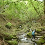 【画像】苔むす奇岩がゴロゴロの幻想的な空間！　親子で東京「御岳山」ロックガーデントレッキングルポ 〜 画像1