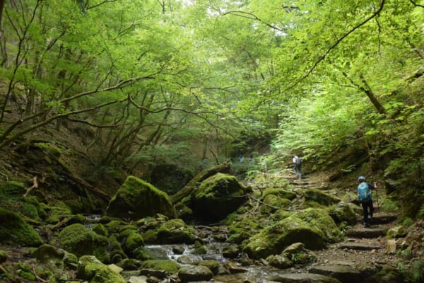 御岳山ロックガーデン（大きな苔むす岩がゴロゴロ）