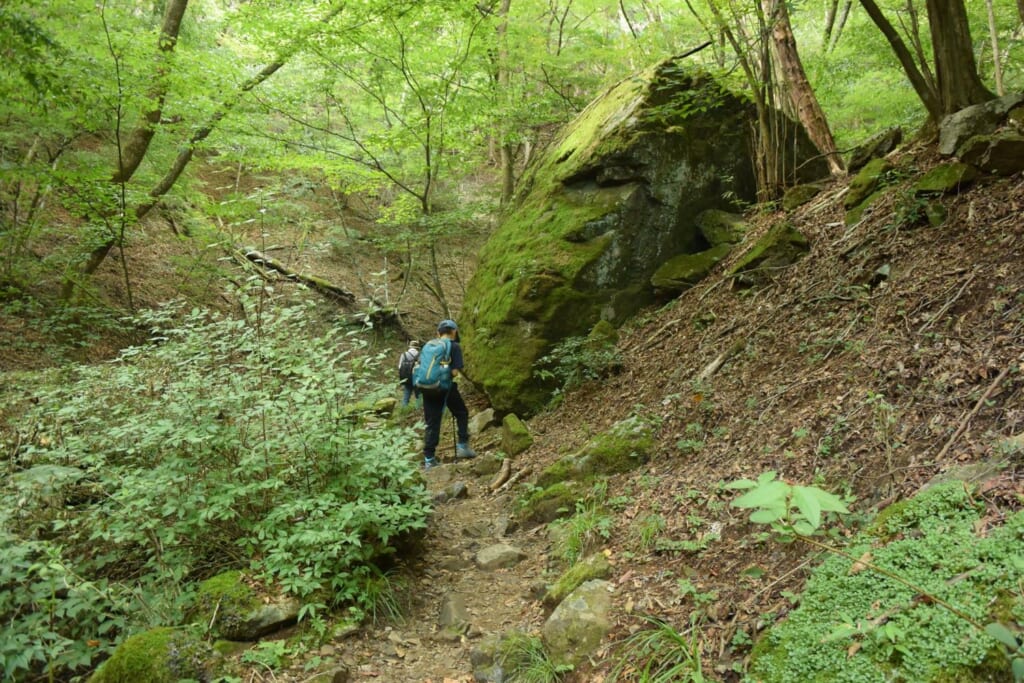 御岳山ロックガーデン（巨大な奇岩）