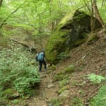 【画像】苔むす奇岩がゴロゴロの幻想的な空間！　親子で東京「御岳山」ロックガーデントレッキングルポ 〜 画像1