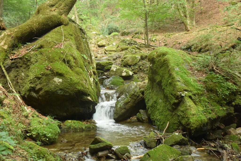 御岳山ロックガーデン（沢と巨岩）