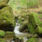 【画像】苔むす奇岩がゴロゴロの幻想的な空間！　親子で東京「御岳山」ロックガーデントレッキングルポ 〜 画像1