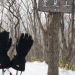 ストックと登山グローブ