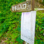 【画像】首都圏ハイカー御用達！   全国区な山名じゃない上野村の「要害山」でプチ低山登山を満喫 〜 画像1