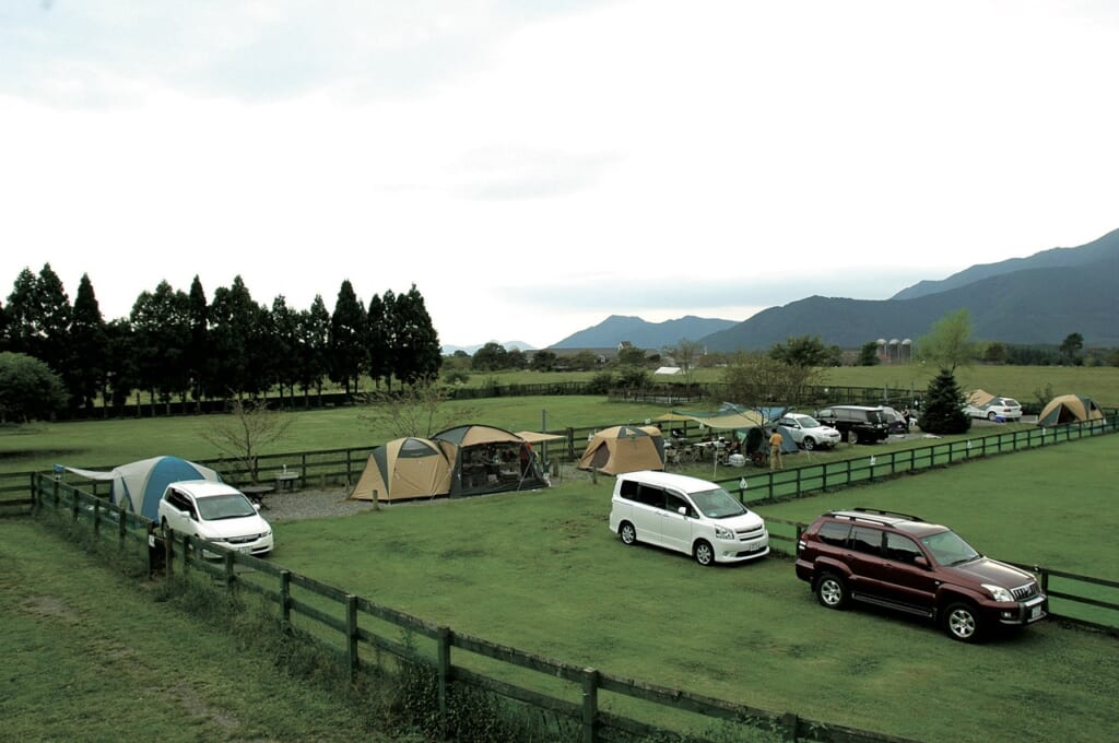 静岡県富士宮市のField Dogs Garden