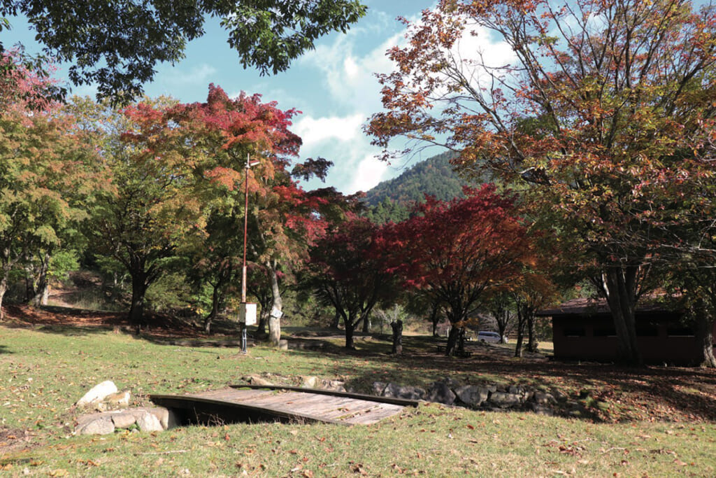 兵庫県宍粟市のCHIKUSA Mountain Village