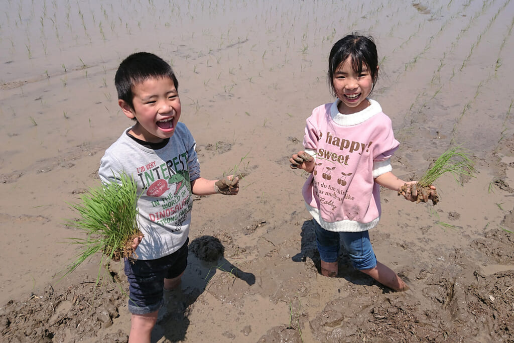 田植え体験する子ども