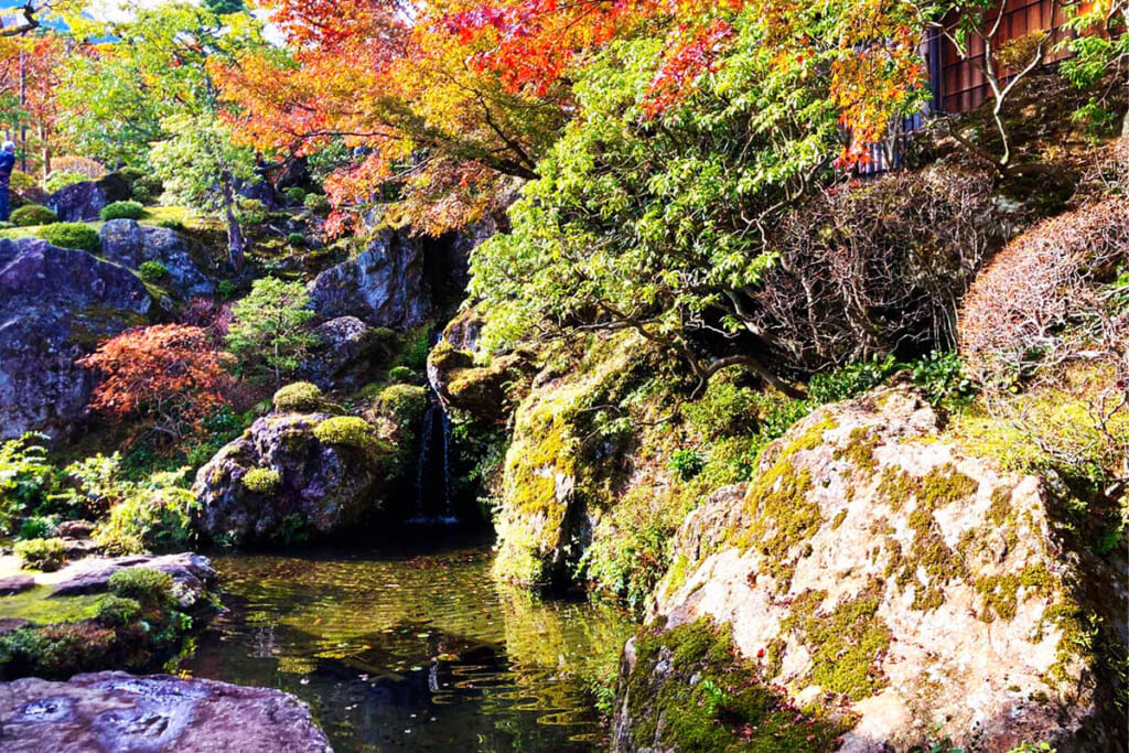 神仙郷の醍醐味の岩と苔と紅葉