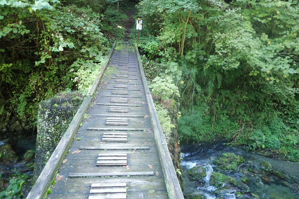 苔でスリッピーな登山口の登山口のかかる橋