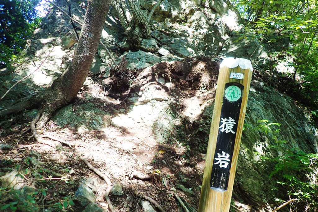 皆野アルプスの猿岩