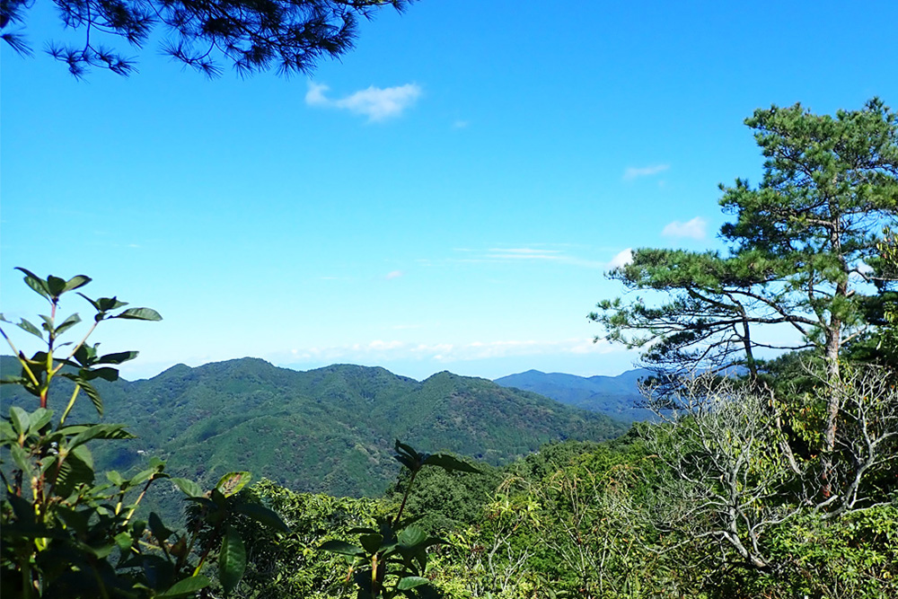 北側に見える日光の山々