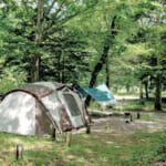 岐阜県高山市の中部山岳国立公園 平湯キャンプ場