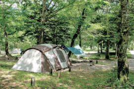 岐阜県高山市の中部山岳国立公園 平湯キャンプ場