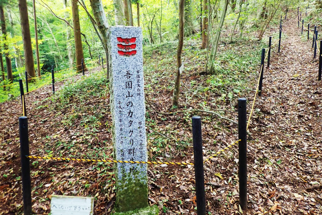 吾国山カタクリの群生地