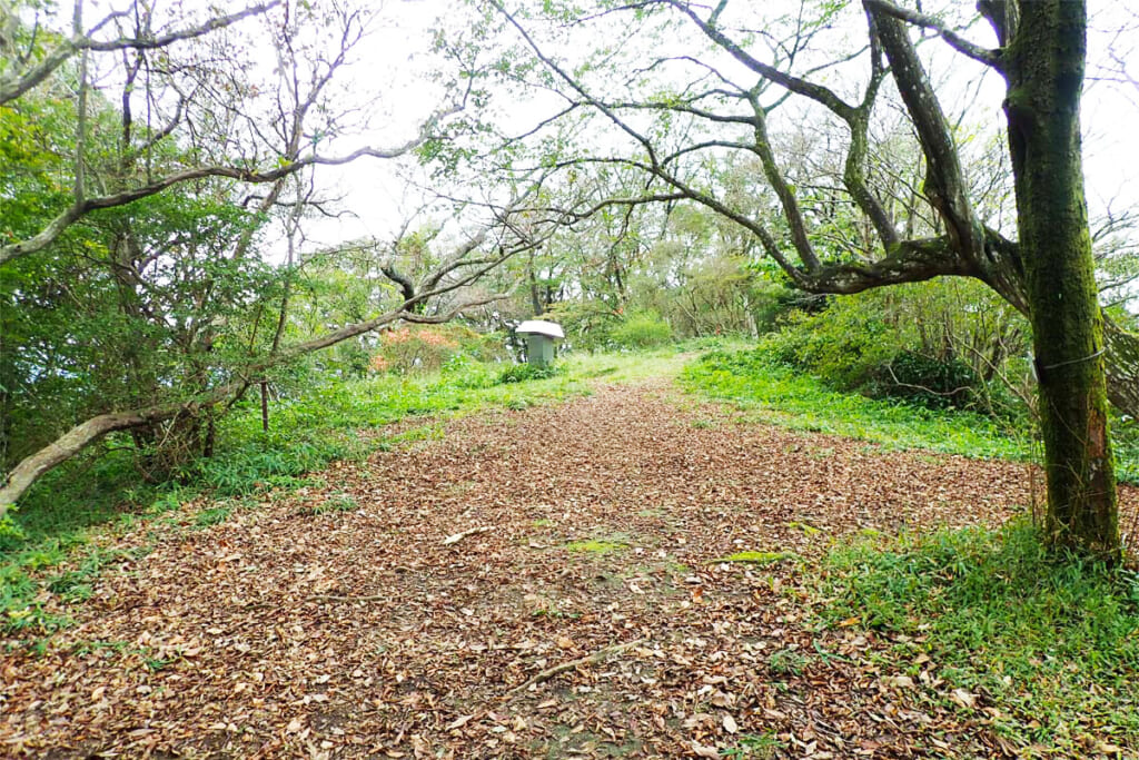 広い難台山頂