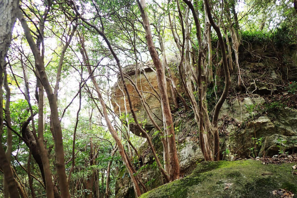 獅子ヶ鼻岩