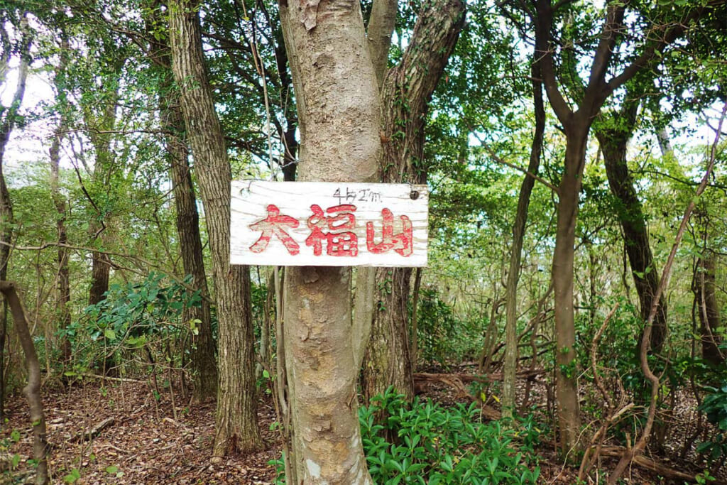 美味しそうな山名の大福山