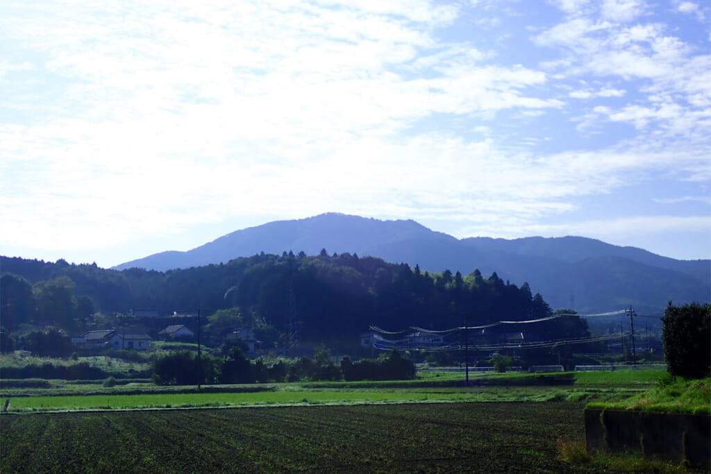 吾国山の緩やかな山容