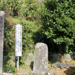 【画像】歴史はなんと約2000年！　柑橘の神様を祀る「橘本神社～御所の芝」みかん発祥の地を巡るハイキング 〜 画像1