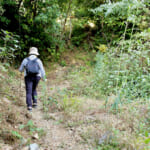 【画像】ここにしかない海と農の絶景！　みかん畑に囲まれた熊野古道を歩く「橘本神社～御所の芝」ハイキング 〜 画像1