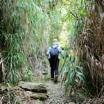 【画像】ここにしかない海と農の絶景！　みかん畑に囲まれた熊野古道を歩く「橘本神社～御所の芝」ハイキング 〜 画像1