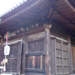 【画像】ここにしかない海と農の絶景！　みかん畑に囲まれた熊野古道を歩く「橘本神社～御所の芝」ハイキング 〜 画像1