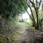 【画像】ここにしかない海と農の絶景！　みかん畑に囲まれた熊野古道を歩く「橘本神社～御所の芝」ハイキング 〜 画像1