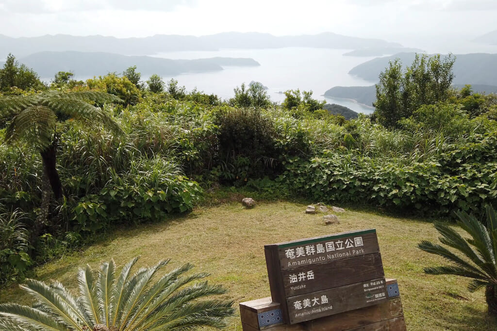 世界自然遺産に登録された奄美群島国立公園