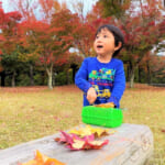 【画像】夏休みの自由研究にも！　アウトドアにおすすめの親子で楽しめる昆虫採集の楽しみ方とは 〜 画像1