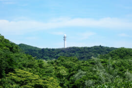 湘南国際村登山口から望む展望タワー