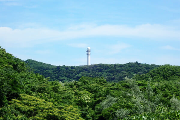 湘南国際村登山口から望む展望タワー