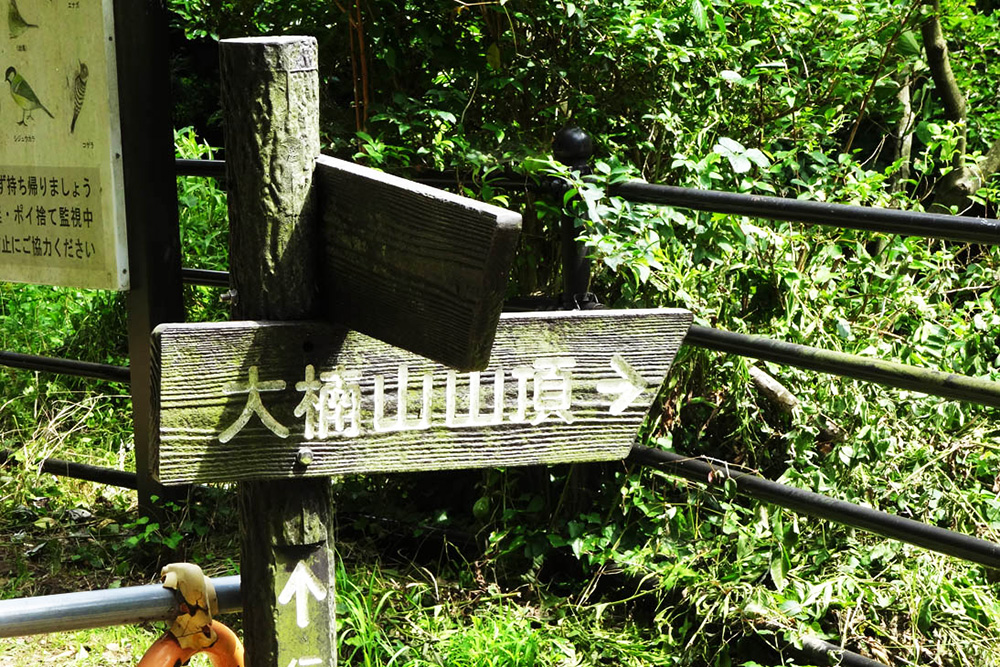 大楠山登山ルートの標識