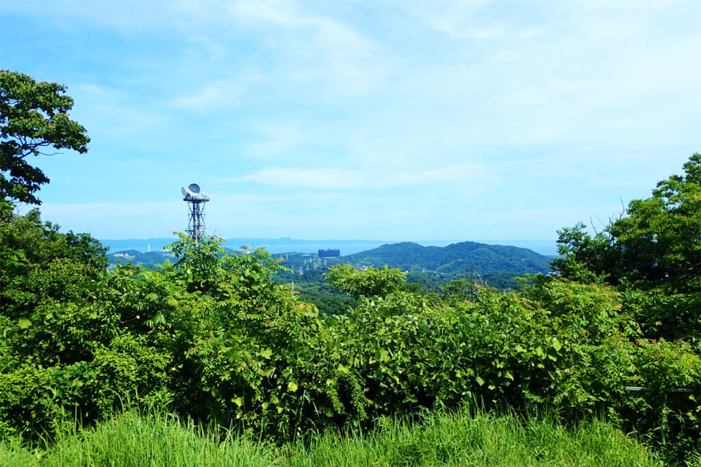 大楠山頂からの東京湾の景観