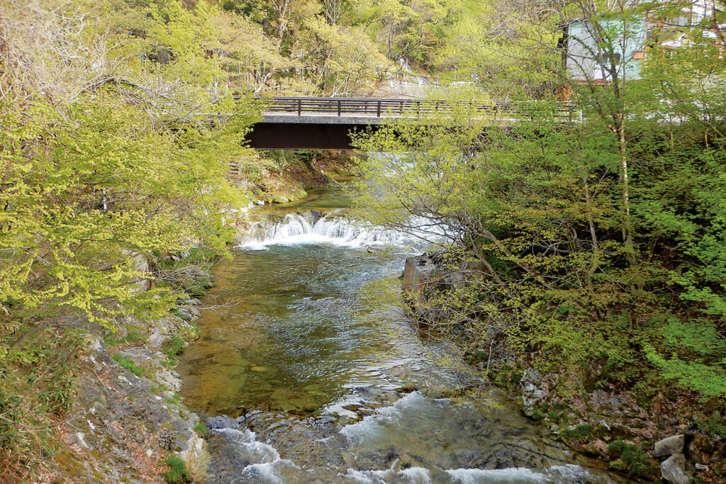 福島県南会津郡のしらかば公園＆キャンプ場