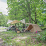 【画像】強烈な日差しに危険な虫……　夏キャンプで後悔しないために覚えておくべき注意点＆工夫とは 〜 画像1