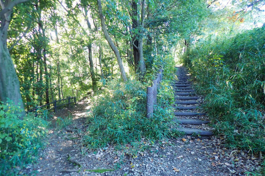 登山道と階段の分岐点