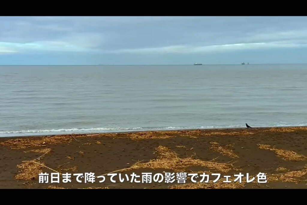 前日の雨で濁った太平洋