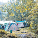 【画像】赤褐色のお湯に源泉ミルキーバス！　天然温泉が楽しめる長野のキャンプ場3選【甲信越エリア】 〜 画像1