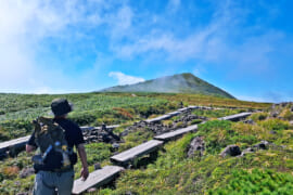 木道の登山道