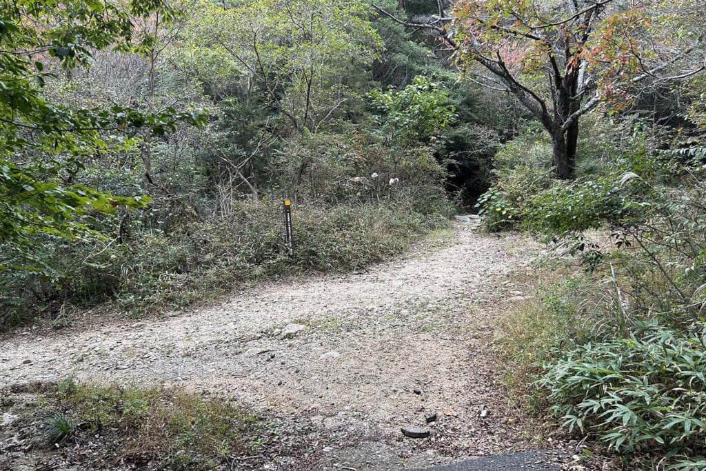 黒岩谷西尾根取り付き